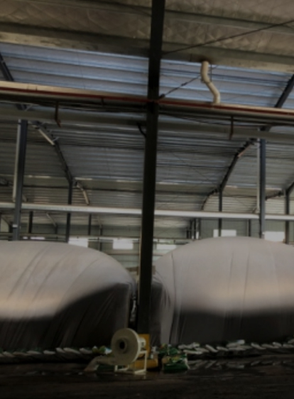 ������ʱ-�������ǲ��й��ٷ���վ